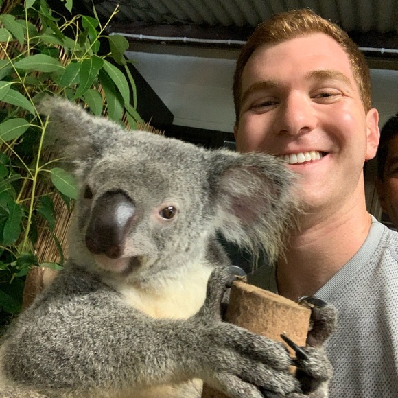 Meet your Posher, Spencer - Picture 1 of 1